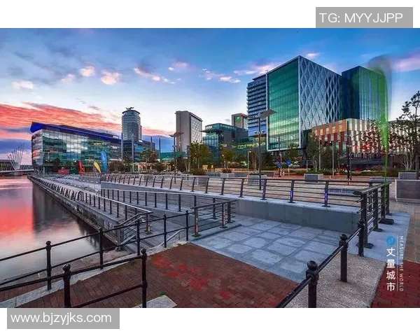 纽卡斯尔城市发展与未来趋势探索：从历史遗产到现代创新的转型之路